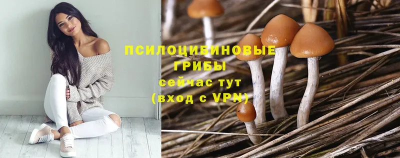 Галлюциногенные грибы Magic Shrooms Джанкой